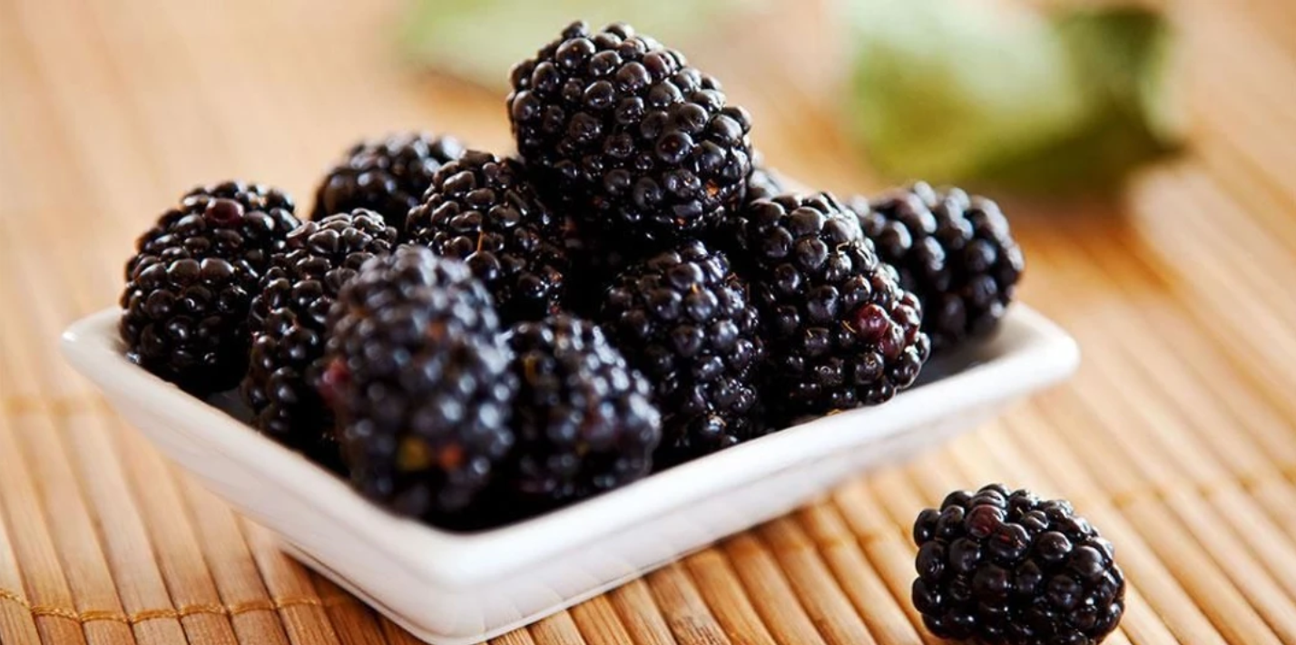 Tak Hanya Lezat, Blueberry Memiliki Kandungan Nutrisi yang Tinggi